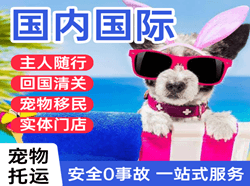 龙嘉机场托运国际宠物托运 【国