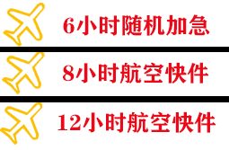 龙嘉机场托运快递公司,专业空运当天件